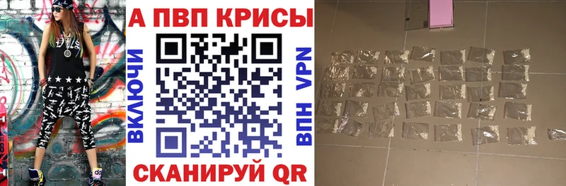 A PVP СК КРИС Зарайск