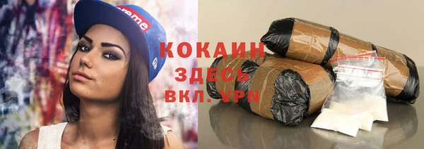 хмурый Дмитровск