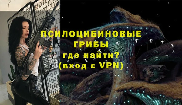 кокаин Дмитриев