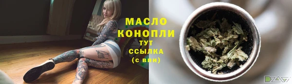 хмурый Дмитровск