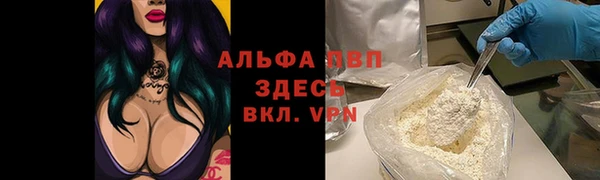 тгк Ростов