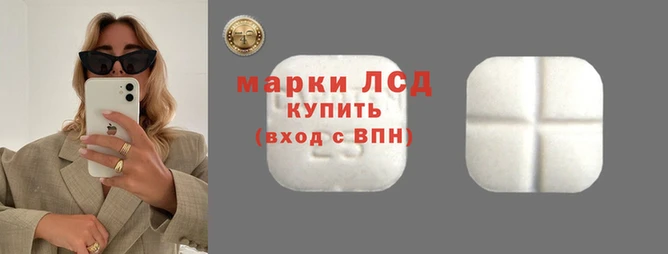 mdpv Дмитров