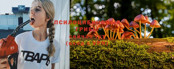 кокаин Дмитриев