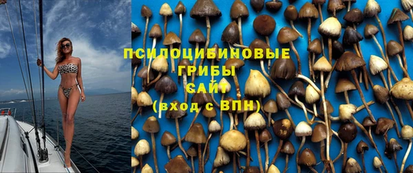 кокаин Дмитриев